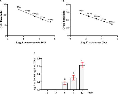 Analyzing the defense response mechanism of Atractylodes macrocephala to Fusarium oxysporum through small RNA and degradome sequencing